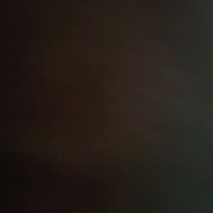 Meet your Poshers, Elizabeth/Seth